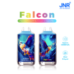 Two JNR Falcon disposable vapes featuring a colorful falcon design with blueberry pomegranate ice flavor, 16000 puffs, and 22ml e-liquid