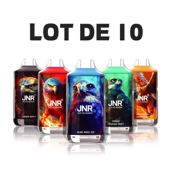 Wholesale pack of 10 JNR Falcon 16K disposable vapes featuring colorful falcon designs and various fruit flavors