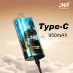 JNR Double Apple disposable vape featuring a jungle gorilla design, charging via Type-C cable with 950mAh battery capacity against a cloudy sunset background